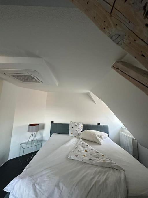 Panorama Penthouse In Wunderschoener Villa Kassel Esterno foto