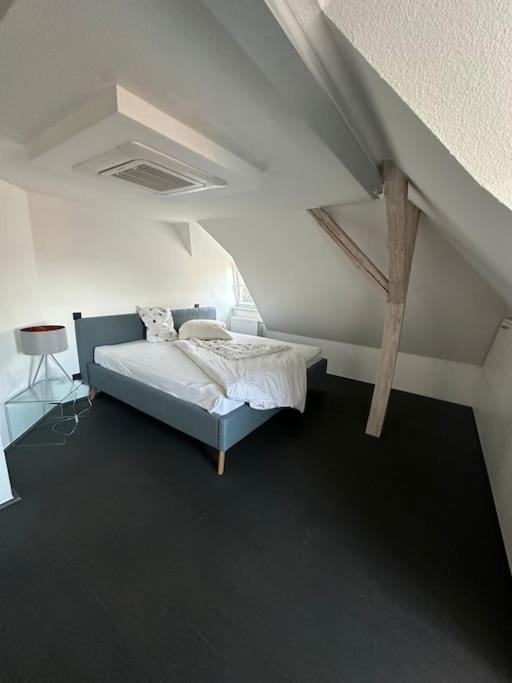 Panorama Penthouse In Wunderschoener Villa Kassel Esterno foto